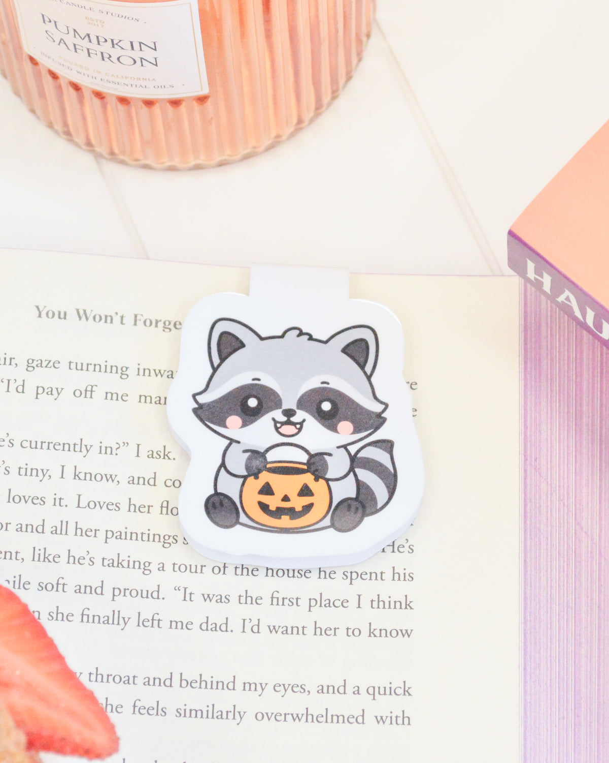 a bookmark with a cartoon raccoon holding a pumpkin