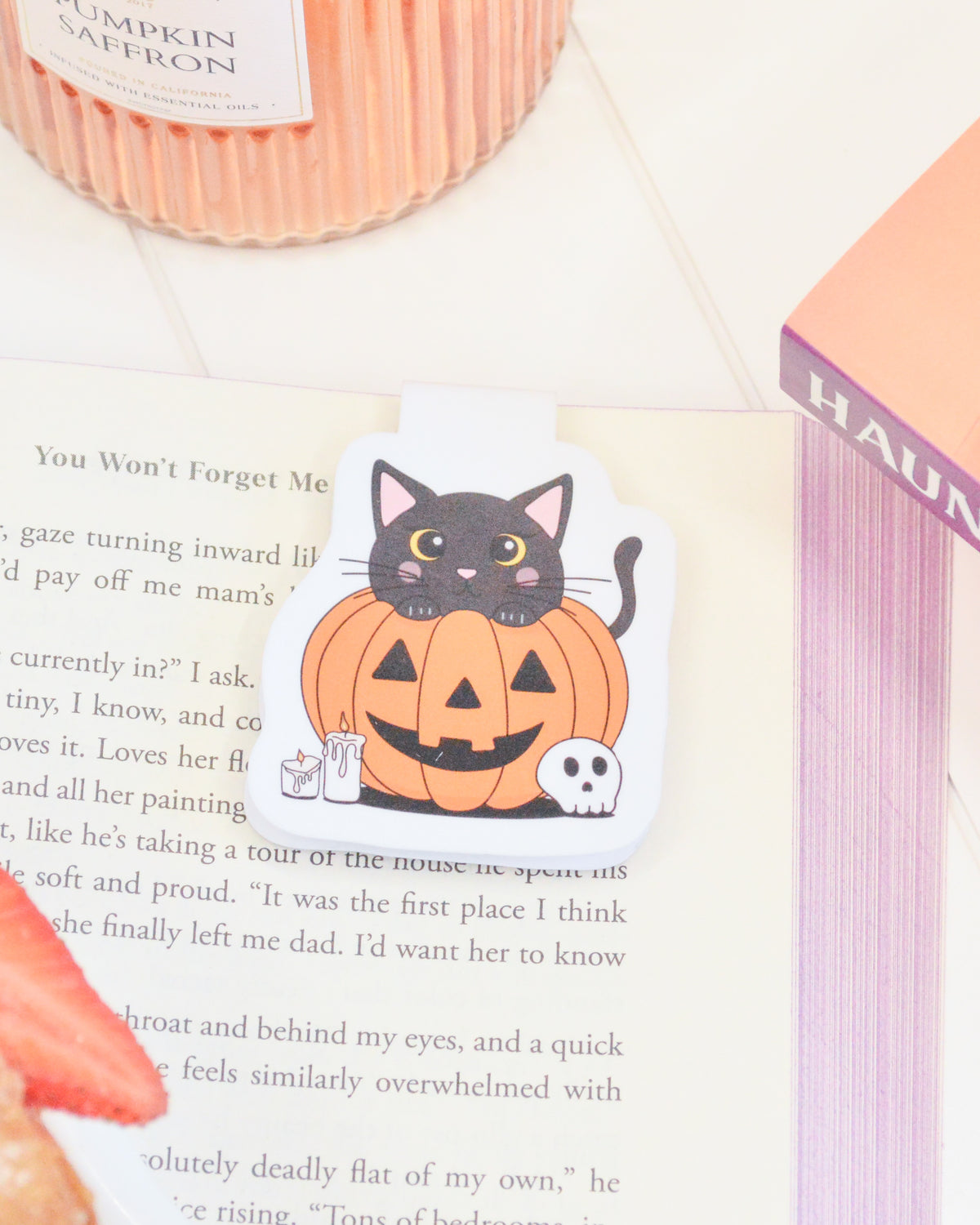 a paper clip with a cat on it